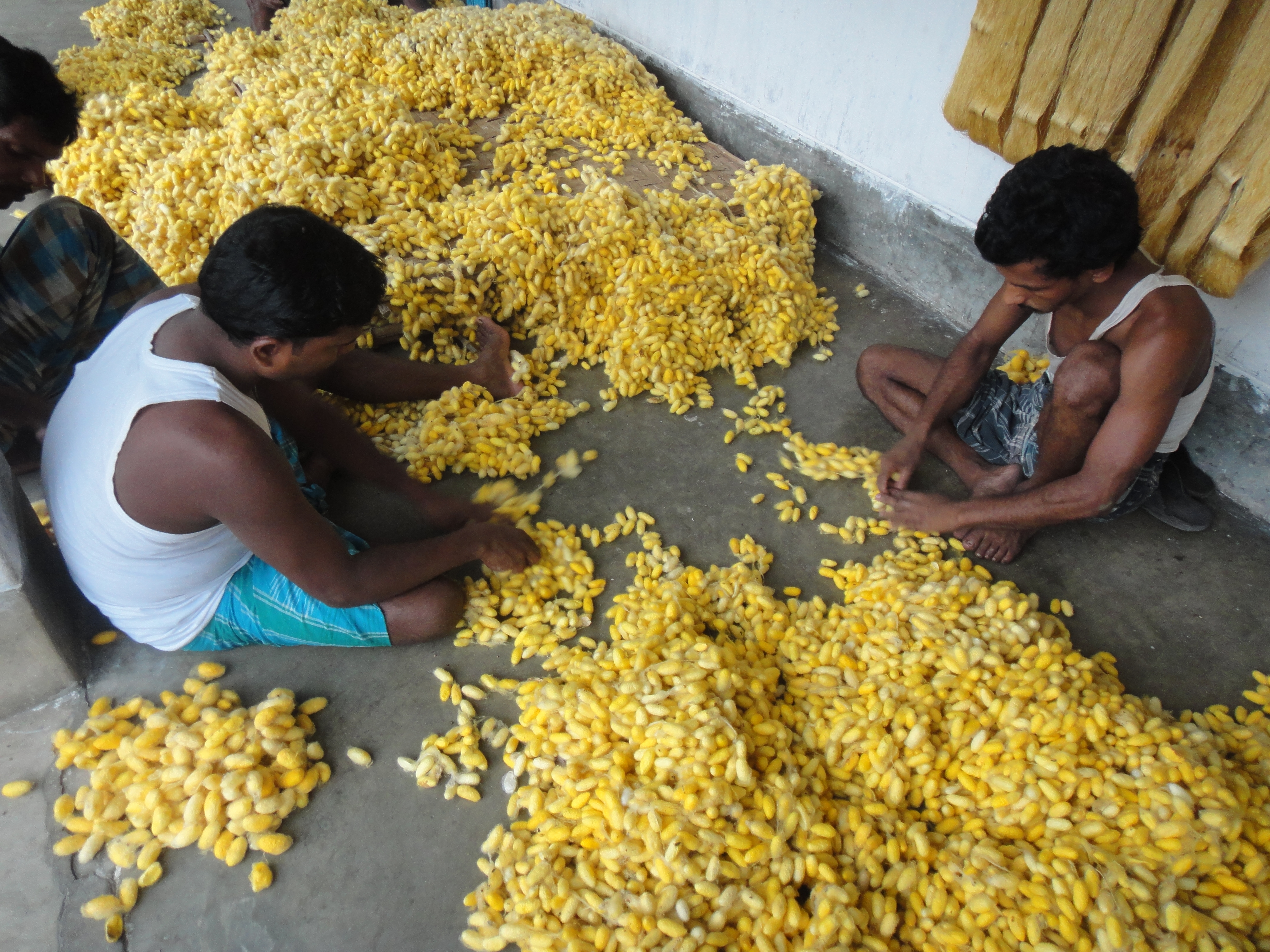 Mursidabad