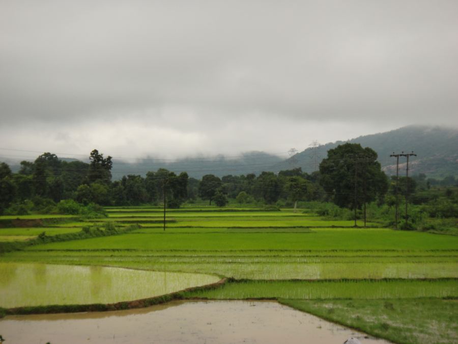 Rain-Fed Fields Below the Hills