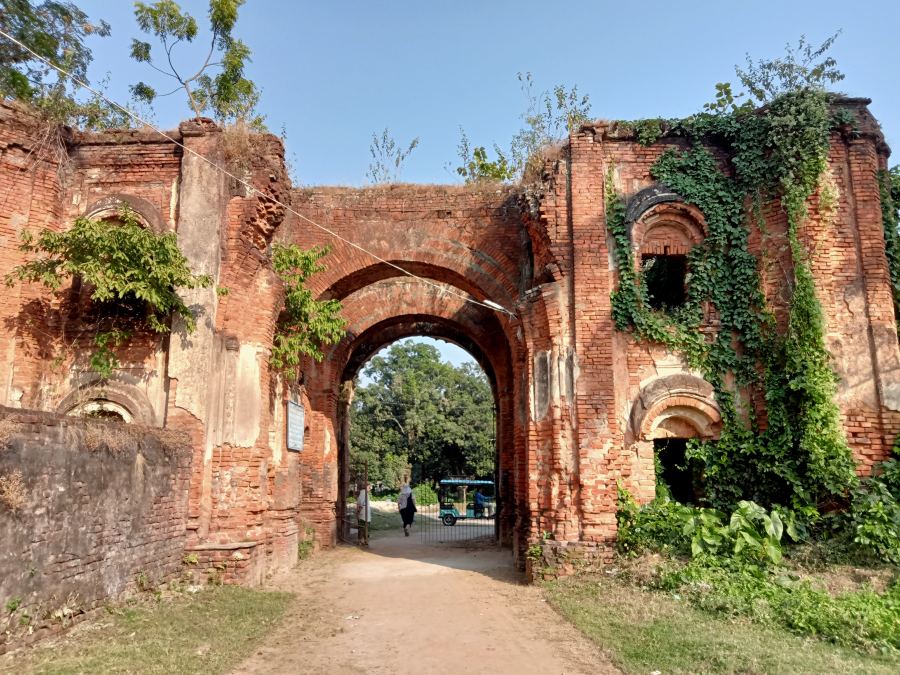 Ivy-Clad Arch, Old Bengal