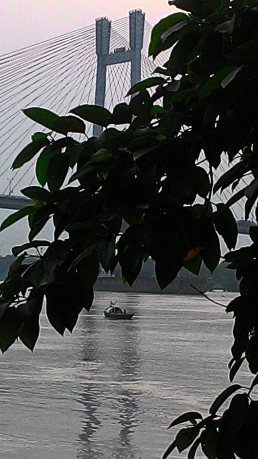 The Hooghly Through the Trees