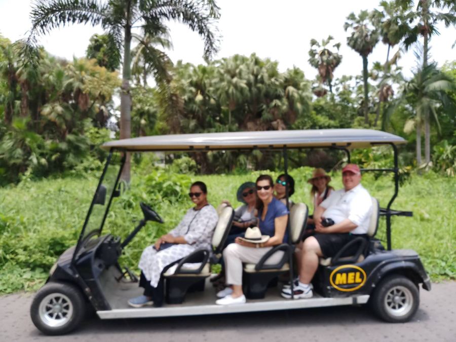 Touring the Grounds