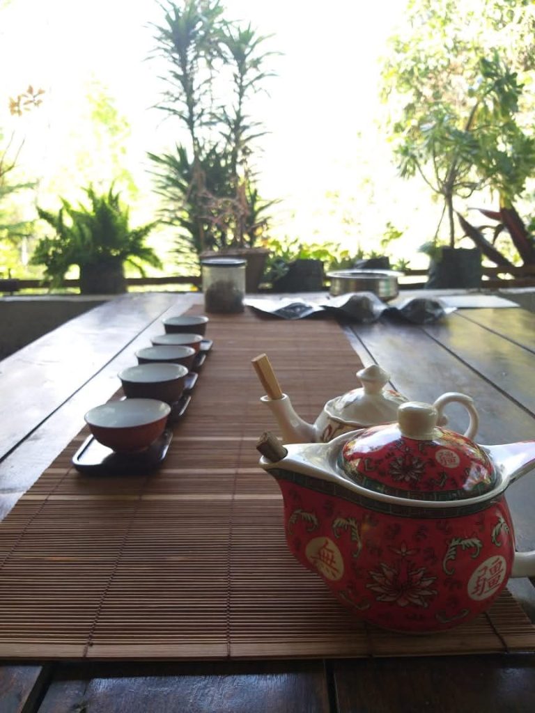 Tea Tourism