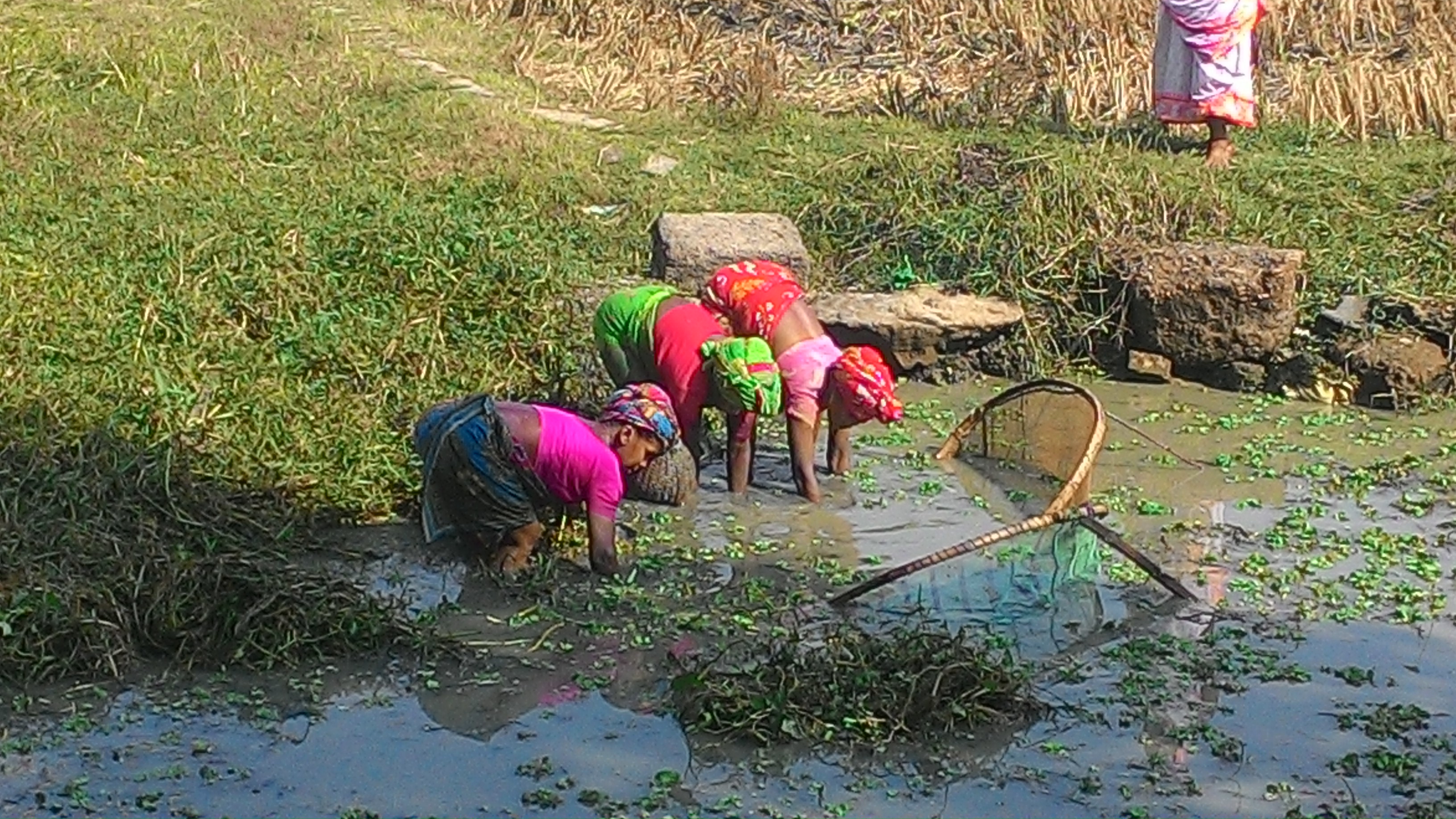 Village life and cuisine